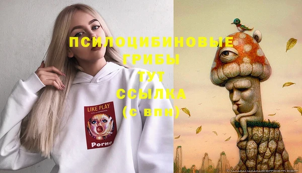 ПСИЛОЦИБИНОВЫЕ ГРИБЫ Алексеевка