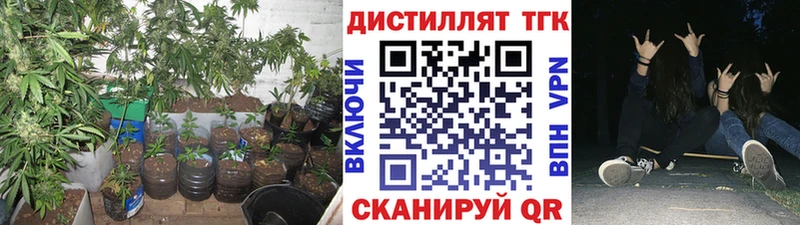 сколько стоит  Поронайск  ссылка на мегу как зайти  Дистиллят ТГК вейп с тгк 